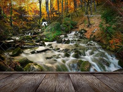 تصویر با کیفیت تخته چوب و رودخانه جنگلی اول پاییز